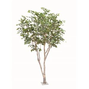 Silk Silver Birch Tree